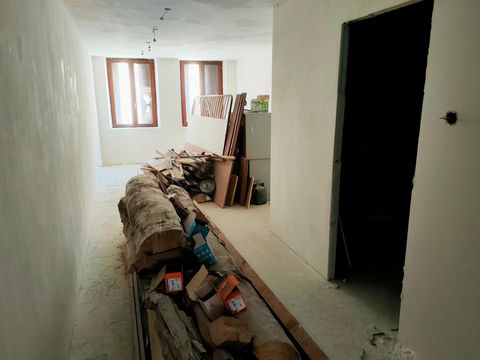 photo no. 6
