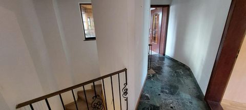photo no. 14