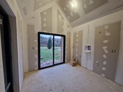 photo no. 12