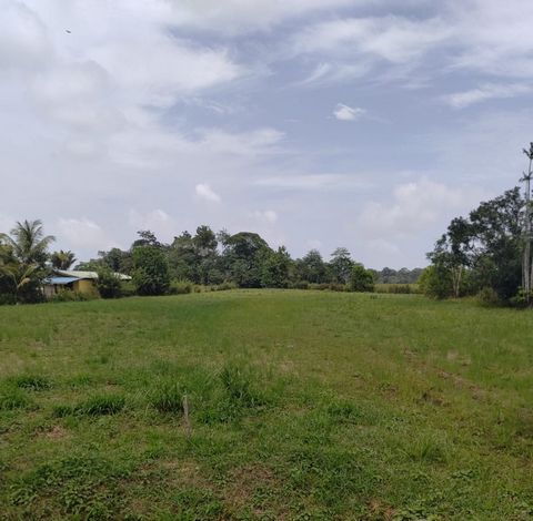 Terrain à vendre de 5 511,00 m² MONTSINERY TONNEGRANDE (973)
