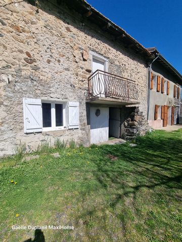 photo no. 5