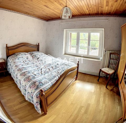 photo no. 12