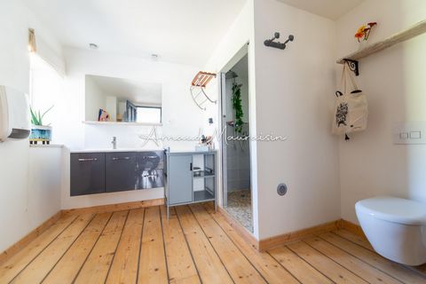 photo no. 17