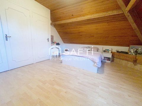 photo no. 6