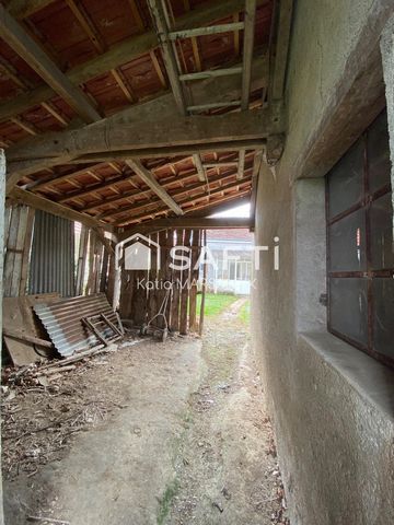 photo no. 12