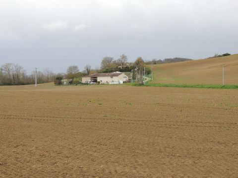 photo no. 14