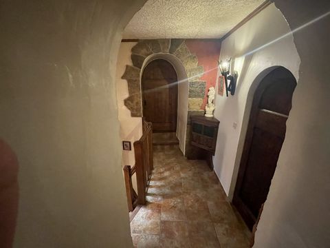 photo no. 10