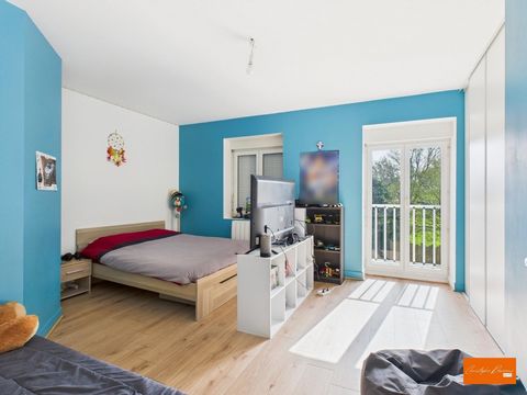 photo no. 13