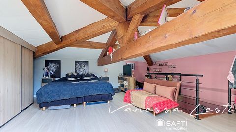 photo no. 12