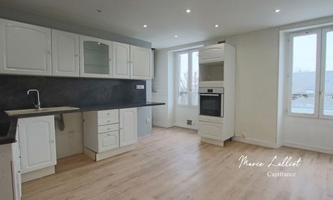 Dpt Loiret (45), à vendre PITHIVIERS hypercentre appartement 92m², 3 chambres, 2 caves