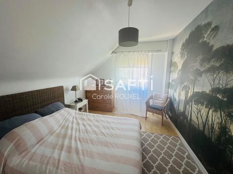photo no. 11