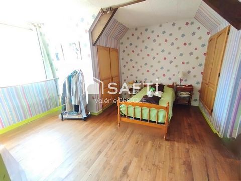 photo no. 7