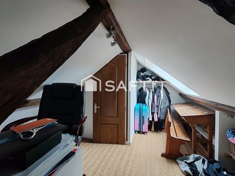 photo no. 11