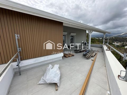 photo no. 2