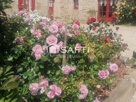 photo no. 14