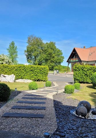 photo no. 11