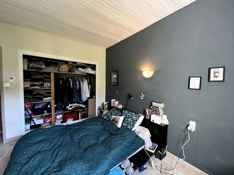 photo no. 13