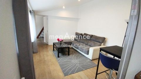 photo no. 13