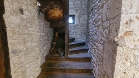 photo no. 11