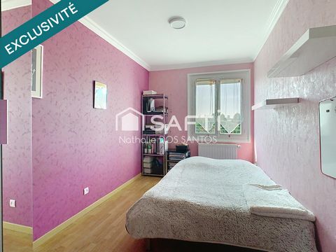 photo no. 11