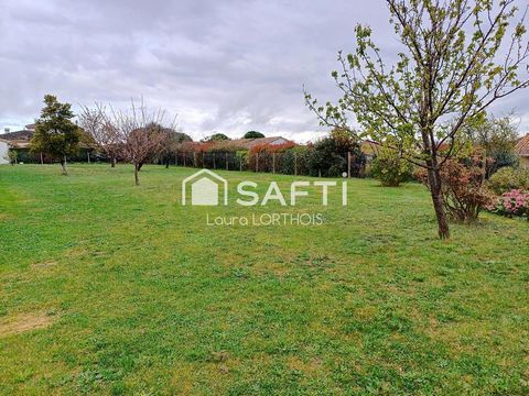 photo no. 13