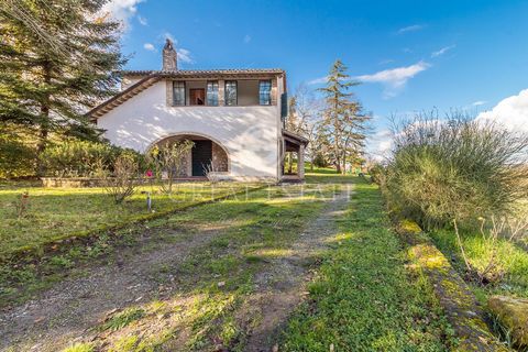 “Casale Il Bianco” covers an area of about 330sqm on two levels. Walking along the large tree-lined entrance boulevard, on the right we find a 2-car garage, an annex usable as storage and a functioning wood oven. An L-shaped portico embraces the livi...