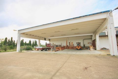 INDUSTRIAL BUILDING currently used as a high end joinery with modern machinery shed is suitable for different kinds of productive activities. 2057 sq m production plant secondary factory 304 m2 sqm Storage 491 239 sqm offices area car parks entrance ...
