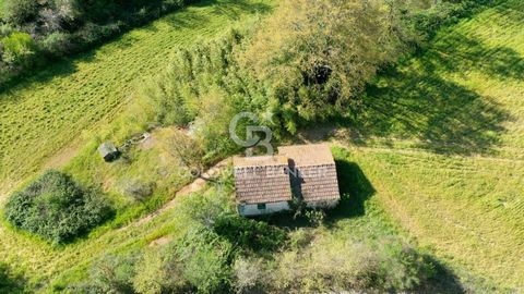 LAZIO - VITERBO - ISCHIA DI CASTRO Immersed in the countryside of Ischia di Castro, in the locality of San Colombano, we offer 5 hectares of agricultural land with a rural building of 50 m2 for warehouse use. The land is partly hilly and partly flat....