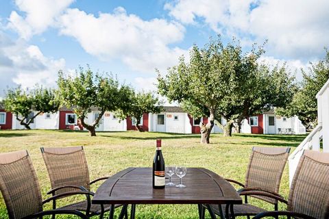 Stay in a former apple plantation in Allinge As the name suggests, the holiday park Æblehaven is located in a former apple plantation in Allinge-Sandvig. In this cozy area you will still find apple trees that blossom beautifully in spring, and in lat...