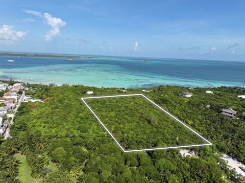 Rarely does a large parcel becomes available in Harbour Island’s Narrows neighborhood making this lot a true gem that beckons investors with its unparalleled beauty, breathtaking elevations, and residential development potential. Spanning over 4 acre...