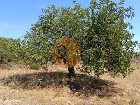 Rustic land with 12,200 m2, in Foz de Odeleite, in Castro Marim - Algarve. Land with many trees. With irrigation water and electricity. With a view of the Algarve Mountains. Quiet location. Excellent opportunity. Flat part for caravan and removable h...