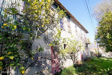 Située à Outeiro-Quintã, dans la paroisse de Paços de Gaiolo, vous trouverez cette belle ferme avec une vue imprenable sur le fleuve Douro. La ferme dispose de 2 maisons, la principale est construite en pierre de granit, et la deuxième maison - des «...