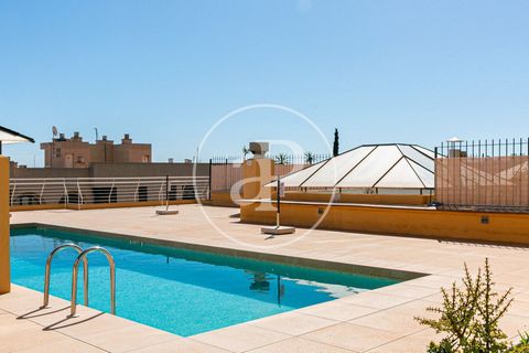 PISO CON GRAN TERRAZA, PISCINA Y VISTAS AL MAR Este amplio piso en La Bonanova con una espectacular terraza privada de 300 m² orientada hacia vistas al mar, es una gran oportunidad de vivir en unas zonas más buscadas en Palma, por su ubicación cerca ...