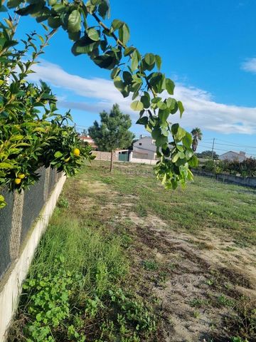 500m2 plot, with potential for approval for independent 3 bedroom housing in the Sousa Cintra urbanization, just two minutes from Pinhal Novo. Exceptional opportunity for those looking for a peaceful and well-regarded environment in the south bank re...
