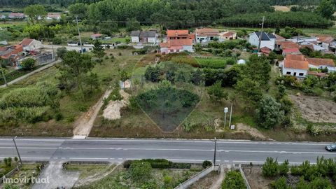 Land with an approximate area of 650 m², with feasibility for the construction of a house. Front and access to the National Road 109, in Cova Da Serpe, parish of Quiaios, 5mn from Quiaios Beach and the center of Figueira Da Foz.