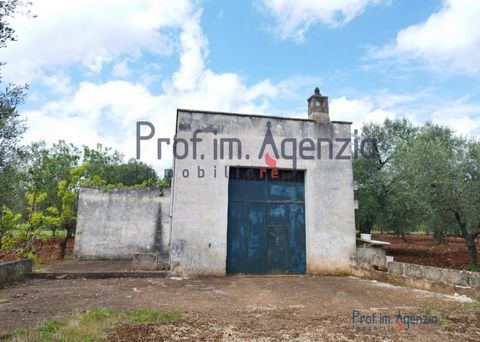 For sale in the countryside of Carovigno interesting lamia to be renovated consisting of a single room and positioned on beautiful flat land, cultivated with intensive olive grove consisting of 700 plants, plus 200 ancient trees. The property is just...
