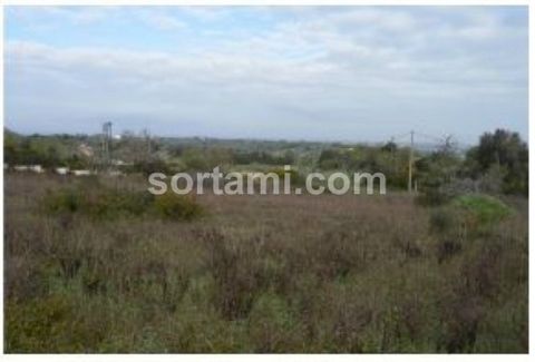 Fantastic investment opportunity! This plot of 4,500 m2 has a project for a parking with forty one parking spaces of caravans, to build a reception, sanitary facilities and a self-service laundry. It also has the possibility to build a support servic...