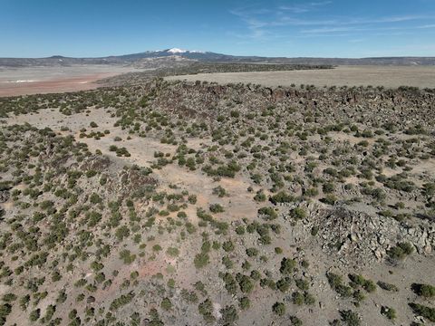 Own your own Mesa!! You literally can become one of two private landowner on the mesa bordering BLM on the west and state to the North. Build a road to the top and have the views of Mt. Taylor, Mt Sedgewick and the Malpais National Monument all from ...