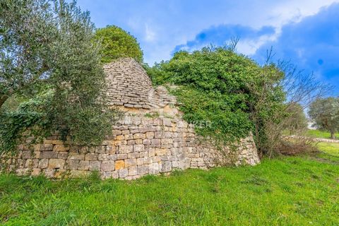 PUGLIA - OSTUNI TRULLO Coldwell Banker offers for sale, exclusively, a characteristic trullo to be renovated in the heart of the Itria Valley with an expansion project presented. The property is surrounded by greenery, on a plot of land of approximat...