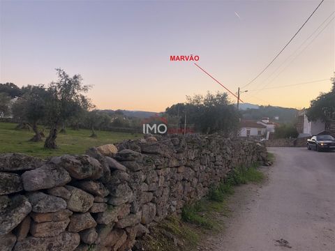 Rustic land consisting of olive trees and cork oaks in cultivated land and natural meadow with an area of 2.425 ha. In the olive grove area there is a strip of land along the public road that is within the urban perimeter of the village of Barretos, ...