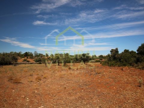 A Sanctuary of 21,790m2 with Water, Power, and Infinite Potential. Discover this idyllic rural retreat nestled in Vale Verde, Albufeira, at the heart of the stunning Algarve. This agricultural land spanning 21,790m2 offers a picturesque setting, comp...