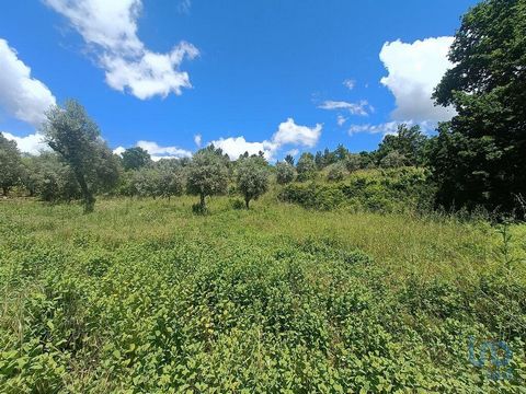 Planeie a sua casa de sonho em Vale do Barco, Pedrógão Grande Área do terreno: 4855m2 Classificação do terreno: Zona Urbana de baixa densidade Restrições: Máximo de 3 pisos Área máxima de construção total: 2427m2 (809m2 de área útil para um edifício ...