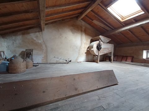 photo no. 16