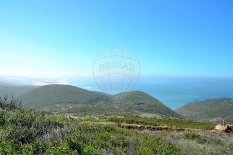 Situé dans le parc naturel de Cascais, à quelques minutes des plages de Malveira da Serra et de Guincho, vous avez ce terrain précieux de 5820 m2 avec une vue impressionnante sur l’océan Atlantique, face au sud. Autrefois cultivé et facilement access...