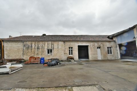 photo no. 2