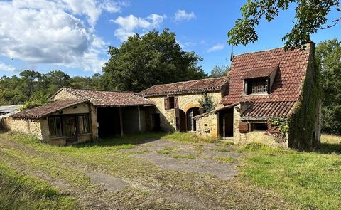 SOLE AGENT: This old farmhouse to restore is located in the Périgord Noir at the crossroads of the three departments of Dordogne, Lot et Garonne and Lot. It offers an entrance hall leading to kitchen, dining room, office, living room, shower room wit...