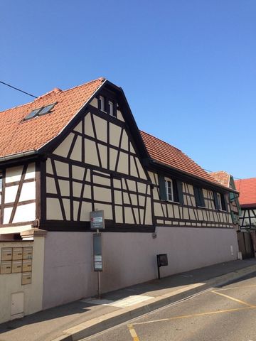 Dpt Bas-Rhin (67), à vendre WOLFISHEIM appartement T2 de 41,9 m² - Plain pied