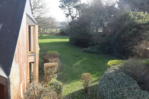 photo no. 12