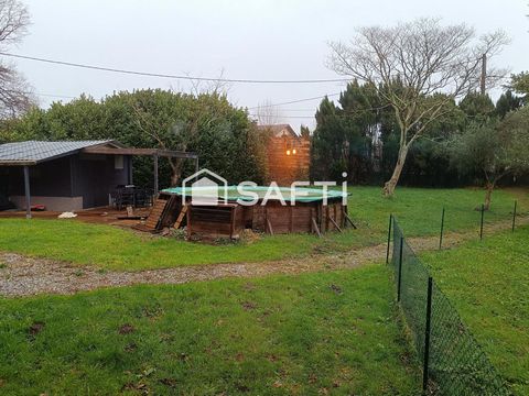 photo no. 10