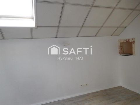photo no. 6